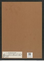 Coscinodiscus borealis Bail. (de-Toni-Nr.: Genus 202, Species 5052) Zeichnungen Sammlung Grunow Mappe 04850 (Herbarium_W_Grunow_drawings_Folder_04850)